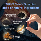 THRIVE-Shilajit Gummies - One thrive Nutrition 
