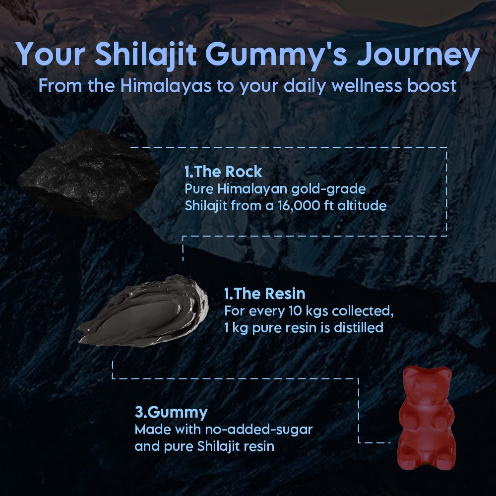 THRIVE-Shilajit Gummies - One thrive Nutrition 